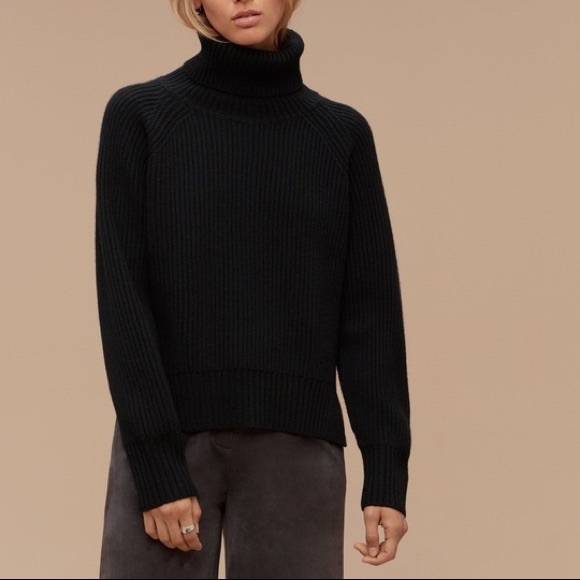 Aritzia Sweaters - Wilfred Free Black Knit Lin Sweater
